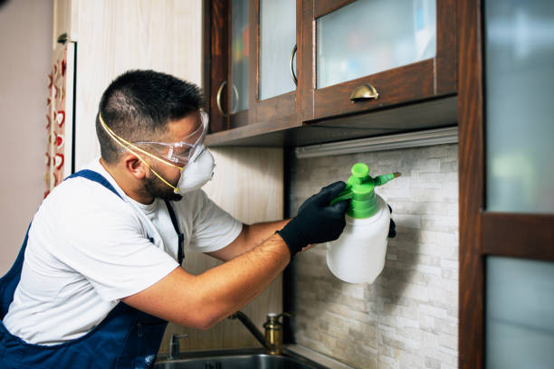 Best Residential Pest Control  in Benton, KY