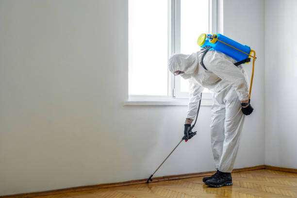 Best Exterminator Services  in Benton, KY