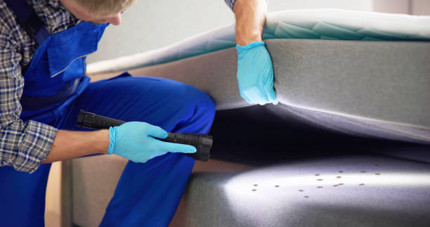 Best Wasp Removal Services  in Benton, KY